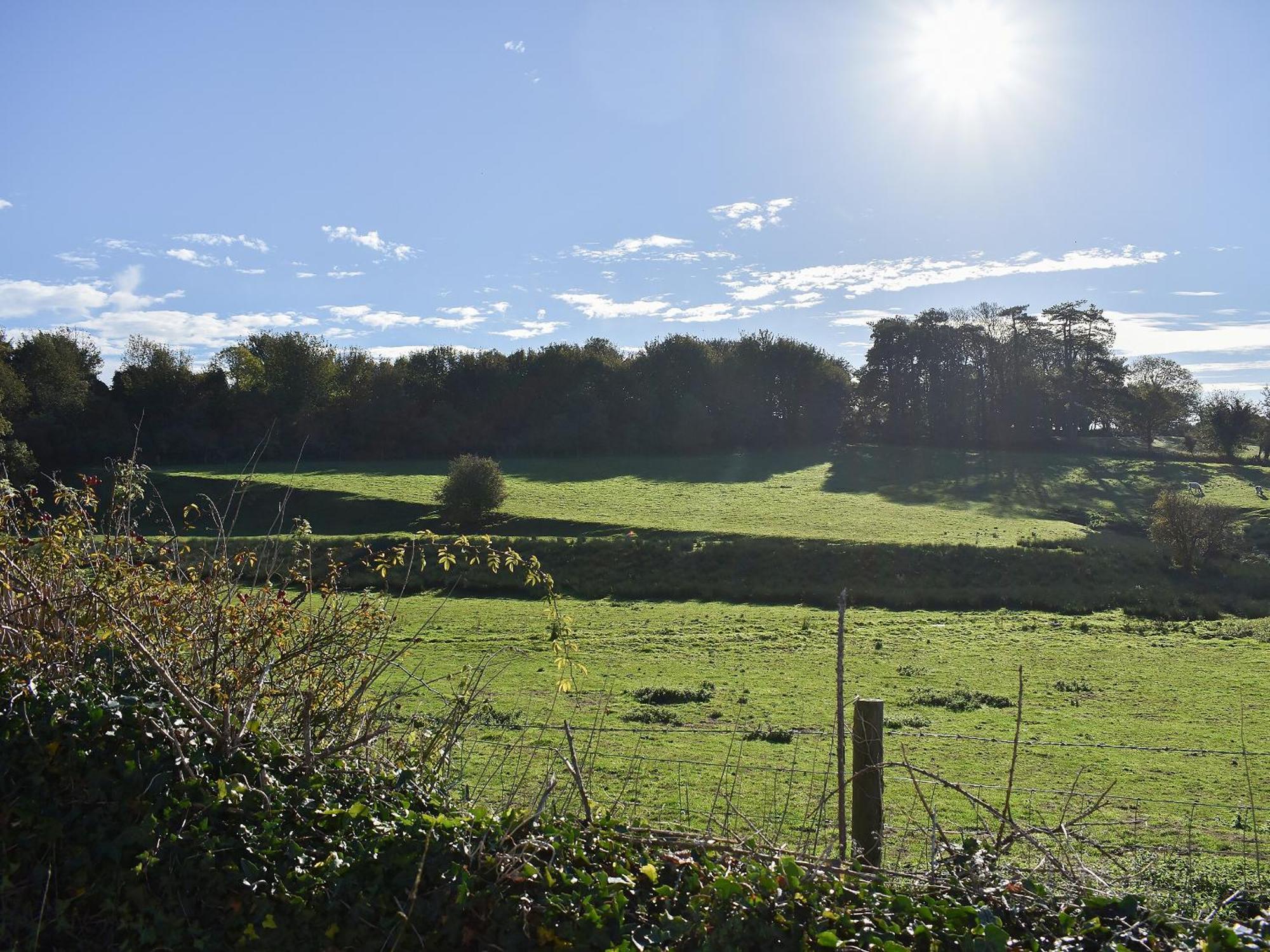 Upwey Carpenters Cottage מראה חיצוני תמונה